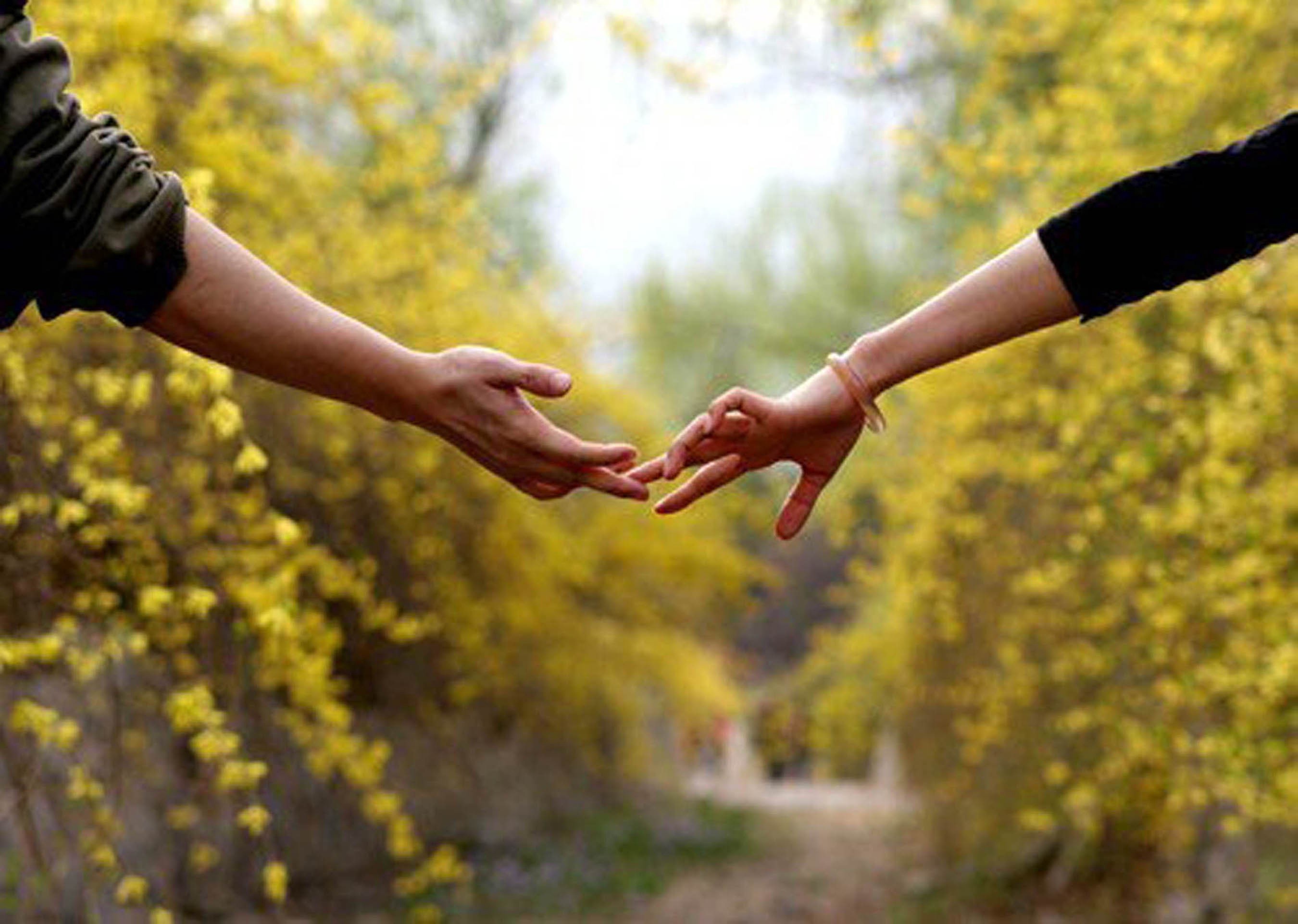 Природа доверия. Руки навстречу. Руки влюбленных. Держатся за руки. Любовь друг к другу.