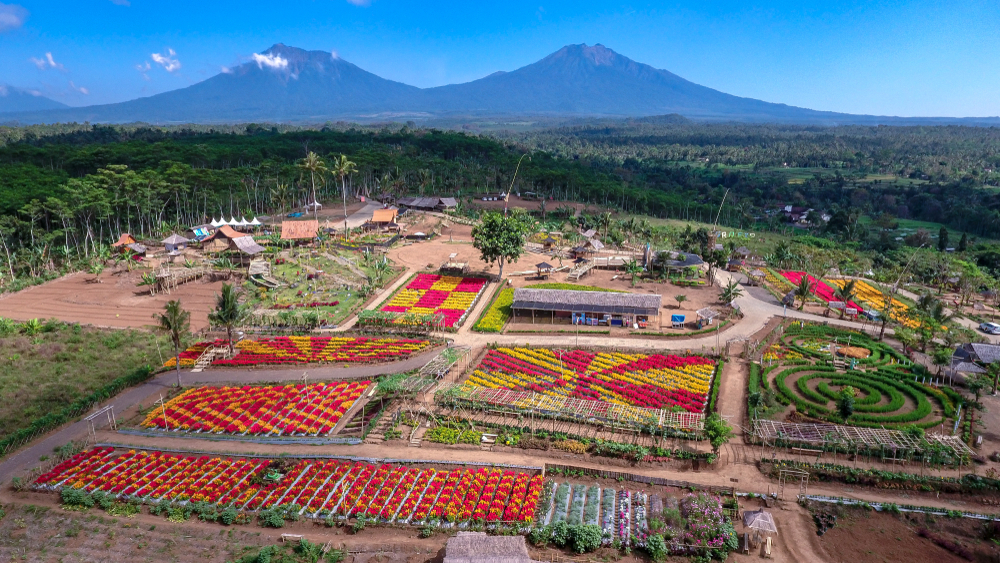 10 Rekomendasi Tempat Wisata Di Banyuwangi Yang Belum Tentu Anda Tahu ...