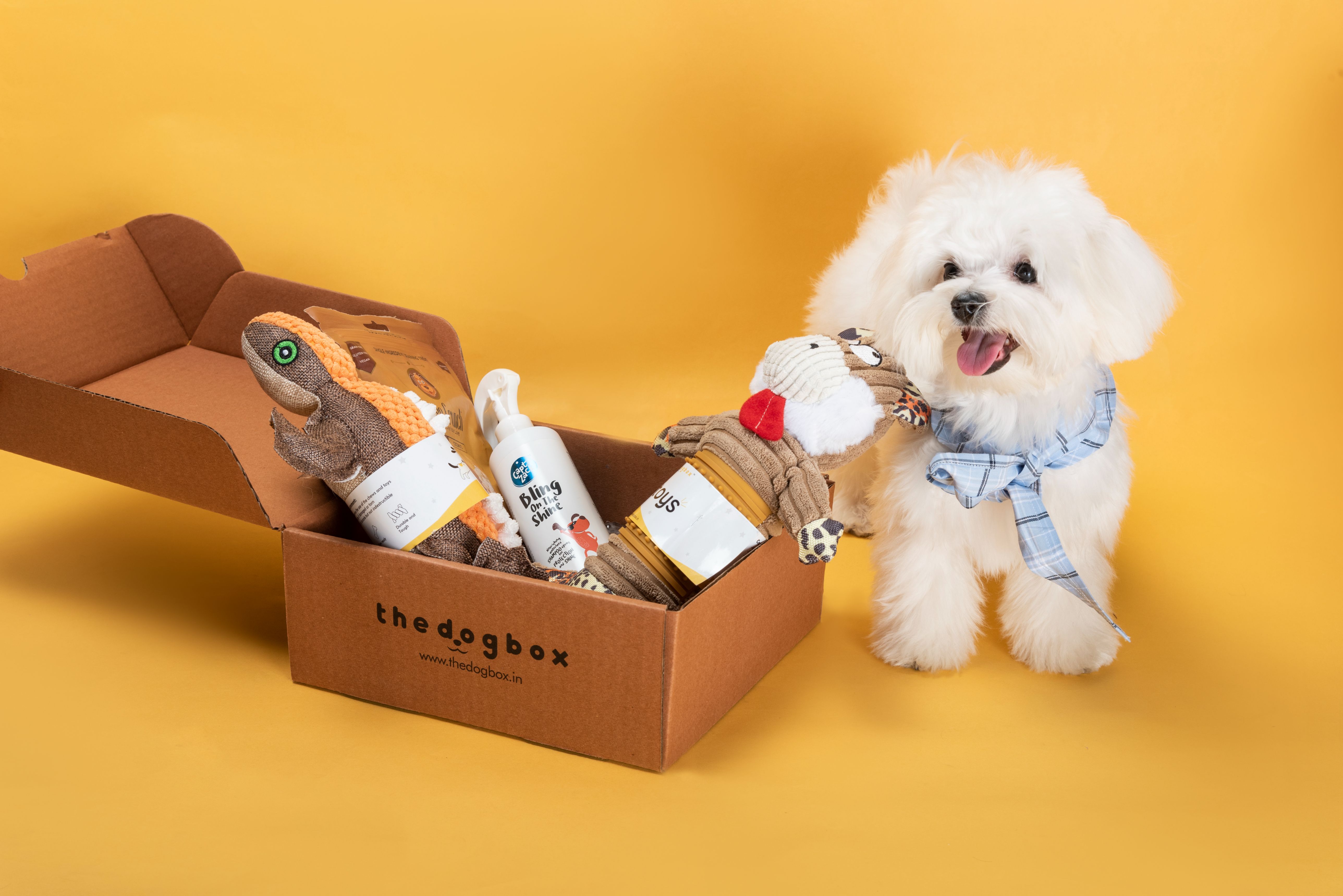 Pet subscription outlet box