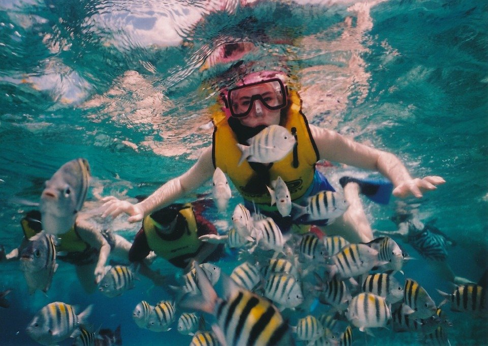 Liburan Ini Kamu Bisa Snorkeling Di 8 Spot Snorkeling Bali, Cek Juga 5 ...