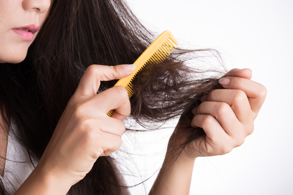 Can't Figure Out How to Manage Damaged Hair? Check Out These Hair ...