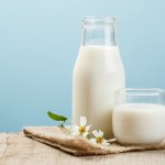 Menjaga asupan nutrisi yang masuk ke dalam tubuh saat diet adalah hal yang penting. Tidak terkecuali jenis susu yang dikonsumsi. Yuk, cari tahu berbagai macam susu diet enak yang akan membantu Anda menurunkan berat badan!