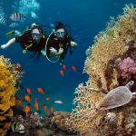 Tidak perlu jauh-jauh ke luar negeri, Indonesia punya ratusan spot diving terbaik untuk dijadikan tujuan liburan berikutnya. Dari Sabang sampai Merauke, yuk temukan surga tersembunyi di bawah laut dalam artikel BP-Guide berikut ini!