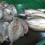 Pengawetan pada ikan segar bisa membuat ikan lebih tahan lama dari biasanya. Ada banyak ikan yang diawetkan dengan menggunakan bahan kimia, namun tentu saja itu kurang baik bagi kesehatan. Pastikan Anda bisa mengawetkan ikan dengan cara yang alami dan hindari pengawetan menggunakan bahan kimia seperti formalin. Berikut beberapa cara mengawetkan ikan yang tepat.  