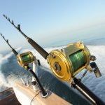 Reel pancing sudah seharusnya dimiliki oleh para pemancing. Terutama jika Anda memang sangat menggemari hobi yang satu ini. Jangan sampai menggunakan reel pancing yang biasa saja, ya. Yuk, intip rekomendasi reel pancing merek Abu Garcia dari BP-Guide!