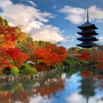 記念に残る誕生日を過ごすには、奈良の温泉宿がおすすめです。古都奈良の歴史と豊かな自然に囲まれた空気の中で楽しむ温泉が、カップルから人気を集めています。ここでは、【2024年最新情報】から厳選したおすすめ温泉宿をご紹介します。素敵な誕生日を過ごす旅行プランを考えている人は、ぜひ参考にしてくださいね。