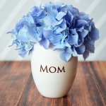 This Mother's Day, give Mom a gift that's as unique as she is.  How can you tell her how much she means to you without breaking the bank?  Sure, you could craft a DIY Mother’s Day gift that she’ll be sure to love, but some of us just don’t have the ability or the spare time. Don't stress yet! Take a look at our list of Mother’s Day gifts.