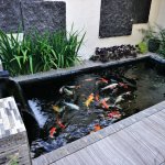 Memilih pompa kolam ikan yang tepat sangat penting untuk menjaga kualitas air dan kesehatan ikan di kolam Anda. Dalam artikel ini, BP-Guide akan memberikan rekomendasi pompa kolam ikan terbaik yang dapat memastikan sirkulasi air yang baik, filterisasi yang efisien, dan lingkungan yang optimal bagi ikan peliharaan Anda.