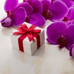長寿祝いのひとつである喜寿には、プレゼントを用意してお祝いを盛り上げましょう。この記事では、ベストプレゼント編集部がwebアンケートなどのリサーチを重ねて厳選した人気の商品を、ランキング形式でまとめました。評判のブランドや商品がわかるので、ぜひこの記事を参考にして相手に喜んでもらえる喜寿祝いを見つけてください！