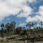 Kalau ingin menghirup udara sejuk dan aroma hutan hijau, coba datang ke kawasan Cikole. Pemandangannya juga sangat menyejukkan mata. Tempat ini letaknya dekat dengan kota Bandung. Jika tak cukup sehari berada di Cikole, Anda bisa menginap di sejumlah penginapan di Cikole yang menawarkan kenyamanan dan kesejukan saat beristirahat.