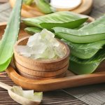 Anda pasti ingin merawat kulit Anda dengan bahan alami yang efektif. Aloe vera, dengan khasiatnya yang luar biasa, telah dikenal sebagai solusi alami untuk masalah kulit dan perawatan tubuh.