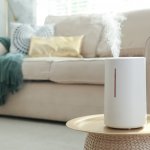  Humidifier adalah alat yang dirancang untuk meningkatkan kelembapan udara di sekitar Anda, memberikan manfaat besar bagi kesehatan dan kenyamanan Anda. Namun, dengan berbagai pilihan yang tersedia di pasaran, memilih humidifier yang tepat dapat menjadi tugas yang menantang. Oleh karena itu, dalam artikel ini, kami akan merekomendasikan 10 humidifier terbaik yang dapat membantu Anda mendapatkan kelembapan udara yang optimal.