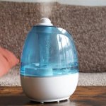 Is your skin getting dry easily even after applying moisturizer? It's time to check your air quality. Lack of proper humidity in your room atmosphere can even get you affected by flu and cough. This article discusses various natural humidifiers for homes.