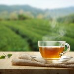 Apakah Anda mencari pengalaman teh yang unik dan istimewa? Teh daun Jati Cina adalah jawabannya. Ditanam dengan penuh keahlian dan diracik dengan kecermatan, teh ini menjanjikan perjalanan rasa yang tak terlupakan. Hari ini, mari kita memperkenalkan Anda pada keindahan teh daun Jati Cina yang mengundang selera.
