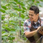 Berkebun hidroponik sedang menjadi tren saat ini, khususnya di kota besar. Sebab, dengan lahan yang sedikit bisa dimanfaatkan menjadi sebuah lahan yang produktif dengan hasil yang besar. Anda tertarik untuk mencoba budidaya hidroponik? Simak dulu tips dan rekomendasi BP-Guide berikut ini, yah.