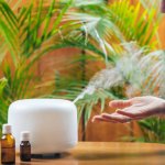 If you're looking to fill your home with fragrance then you can't go wrong with a diffuser, be it reed or electric. To help you find the right one for you, we have rounded up our edit of the best diffusers available to shop now.