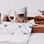 Everyone has at least one dedicated cat lover in their lives. Whether taking adorable Instagram photos or diving into the world of DIY to make their kitty more comfortable, their cat is truly a member of the family. And with such a large community of feline enthusiasts online, comes a long list crafty gifts for cat lovers. No matter the occasion, check out these gift ideas for cat lovers for every season and holiday.