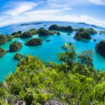 Saking jauhnya dari kota-kota besar di Indonesia, Raja Ampat kadang bikin keki kalau kamu udah niat mau berlibur ke sana. Tapi jangan khawatir, BP-Guide punya rekomendasi 5 tour Raja Ampat yang bakal memudahkan kamu untuk menikmati liburan di sana. Yuk cek aja langsung di bawah ini!