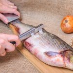 Membersihkan sisik ikan bisa sangat merepotkan dan membuat banyak orang malas mengolah ikan. Namun masalah itu bisa teratasi jika Anda menggunakan alat pembersih sisik ikan khusus. Dalam artikel ini, BP-Guide akan memberikan rekomendasi pembersih sisik ikan yang bisa Anda gunakan!