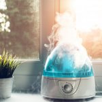 Humidity in the air is the key component of good health. It is the amount of vapour present in the air. We all know in the winter months when the air gets dry, we start getting dry skin, chapped lips, etc. It is because of the low humidity in the winter months. Check out these best humidifiers which you can use in dry months.