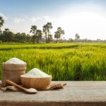 Saat melakukan traveling ke tempat-tempat yang tidak menyediakan nasi, Anda mungkin ingin membawa beras agar tetap bisa makan nasi. Tidak ingin repot membawa beras saat traveling? Kini ada beras dalam kemasan kecil yang lebih praktis dan travel friendly pastinya!