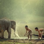 Kamboja adalah negara dengan pemandangan eksotis yang menarik untuk dikunjungi. Bila Anda sedang atau akan melancong ke negeri yang satu ini, jangan lupa oleh-oleh dari Kamboja ini yah.