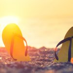 Flip flop atau sandal jepit adalah pelengkap untuk penampilanmu yang kasual. Tidak hanya untuk liburan ke pantai saja, kamu juga bisa memakainya saat hangout. Yuk, simak rekomendasi sandal flip flop terbaik untuk pria dan wanita dalam artikel BP-Guide berikut ini!