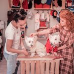 Gợi ý 10 shop quần áo thú cưng phong phú, chất lượng ở TPHCM (năm 2021)