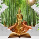 Buddhism is one of the world’s oldest religions. If you are someone who wants to explore Bushism, one of the best things you can do is to go and check out the best buddhist books that both practitioner and spiritual seek themselves use to learn the ancient philosophy. With that said, let’s move on to the books!