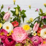 This article discusses in depth the meanings of different flowers. The flowers can also mean different things if they come in different colours. We have also added some tips for you to keep your flowers alive for a longer time. Read on to find out more. 