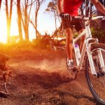 Setiap orang butuh berolahraga agar lebih sehat. Nah, kamu yang bingung cari jenis olahraga, bisa lirik bersepeda sebagai pilihan. Intip yuk aneka sepeda lokal yang populer.