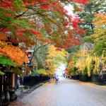 豊かな自然に囲まれた秋田県には、温泉や歴史的名所など観光スポットが多くあります。ここでは、2022年の最新情報をもとに、結婚記念日を過ごすのにぴったりのホテルをご紹介します。エリアごとに人気のホテルを厳選しましたので、大切な記念日を過ごすホテル選びの参考にしてください。