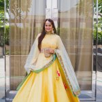 Indians are known to celebrate weddings and other functions in a pompous way. This demands for a perfect dress for each occasion. Afterall, all eyes should be on you! So if you are going to attend any function this year, we've got you covered. Check out these amazing lehenga styles.