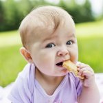 Setelah mencapai usia 6 bulan, bayi harus mulai diberi makanan pendamping ASI dan snack. Biskuit bayi bisa jadi pilihan yang tepat untuk menunjang tumbuh kembang si kecil kesayangan. BP-Guide punya rekomendasi biskuit bayi terbaik dan terenak untuknya.