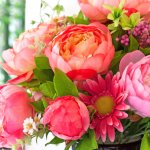 華やかさと誠実さを兼ね備えた花束は、プロポーズの際のプレゼントにぴったりです。そこで今回は、プレゼントに人気の花束「2024年最新情報」をご紹介します。定番のバラやバラエティに富んだ花、最近人気のプリザーブドフラワーなど、おしゃれな花束が目白押しですので、素敵なプレゼント選びの参考にしてください。