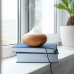 Aromaterapi adalah salah satu pengharum ruangan yang bisa memberikan banyak manfaat seperti menghilangkan bau, menenangkan pikiran, dan meningkatkan mood. Yuk, cek rekomendasi aromaterapi ruangan dari BP-Guide berikut!