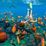 Snorkeling adalah olahraga air yang menyenangkan dan bisa dilakukan siapa saja. Tanpa perlu lisensi dan alat khusus, Anda sudah bisa melihat sendiri keindahan surga bawah laut. Berencana mengisi liburan dengan snorkeling? Berikut BP-Guide berikat rekomendasi lokasi pantai untuk snorkeling terbaik di Indonesia!