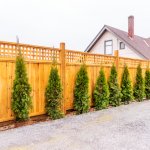 Keberadaan pagar juga menjadi bagian paling penting dari rumah karena sangat banyak manfaatnya. Ternyata pagar rumah tidak hanya dibangun untuk hiasan. Simak liputan manfaat pagar berikut juga rekomendasi pagar minimalis yang tepat untuk hunian Anda. 