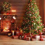 Cari tahu tipe pohon natal terbaik versi kamu, agar bisa memberikan dekorasi yang tepat untuk ruangan yang memberikan nuansa natal dengan suka cita. Cari tahu juga tips memilih pohon Natal di bawah ini. 
