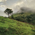 Are you looking for a peaceful getaway over the weekend with your friends and family? Or are you looking for a serendipitous place for some introspection? Well, Madikeri might just be your go-to place! It has is all from beautiful trekking ranges to adventure activities for the adrenaline-lovers. Here are the 10 best places to visit in Madikeri.