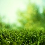 Tahukah kamu bila kini telah banyak beredar di pasaran boneka unik dan edukatif? Boneka horta yang tidak hanya dapat bermanfaat untuk anak-anak, namun juga menjadi mainan yang menarik untuk orang dewasa. Ini karena boneka horta bukan sembarangan boneka, tapi merupakan wadah tanaman berbentuk boneka. Masih bingung? Kalau gitu, kamu harus ikut terus ulasan BP-Guide berikut ini!