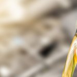 Oli merupakan elemen penting dalam kendaraan bermotor. Dalam memilih oli tidak bisa asal saja. Oli motor harus bisa mencegah mesin mengalami overheat dan harus bisa membuat komponen mesin terjaga kebersihannya agar mesin tidak cepat rusak. Nah, kamu yang memiliki motor matic dan harus segera ganti oli, bisa cek rekomendasi oli terbaik dari BP-Guide berikut, ya!