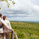 Jika Anda tengah atau akan merencakan berwisata ke kawasan puncak Cisarua bogor, ada baiknya Anda tengok artikel ini terlebih dulu. BP-Guide tidak hanya memberi rekomendasi tujuan wisata di kawan tersebut namun juga penginapan raman safari pilihan yang bisa Anda tempati. Dijamin wisata Anda akan lebih terkenang!