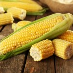 Jagung adalah salah satu sumber karbohidrat yang punya banyak manfaat jika diolah dengan benar. Nggak perlu bingung untuk mengolah bahan pangan yang satu ini, karena ada resep-resep mudah dan praktis yang bisa langsung diaplikasikan. Kira-kira apa aja, ya? Yuk, langsung simak!