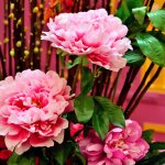 お正月に人気の花ギフト2023！おしゃれにアレンジされた花飾りがプレゼントにおすすめ！		