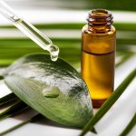 Tea tree oil adalah minyak alami yang berasal dari daun pohon teh (tea tree) yang memiliki banyak manfaat bagi kesehatan dan kecantikan kulit. Mengandung sifat antibakteri dan anti-inflamasi, tea tree oil dapat membantu mengatasi masalah kulit seperti jerawat, gatal-gatal, dan iritasi.