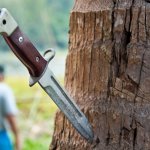 If you are planning to go for an outdoor trip like camping, hiking or trekking, you need to appreciate the critical nature of a camping knife. A camping knife is very different from a multi-tool device (such as a swiss knife) in the sense that a multi-tool device may be suitable for small and light work, but when it comes to heavy-duty work like chopping wood, cutting a rope, to be used as a peg, etc., a camping knife with a much larger blade and a sturdier grip is less likely to fail. Consequently, a camping knife should always be an integral part of your camping gear. In this post, we bring you the 10 best camping knives you can buy in India. 