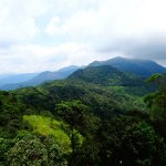 Ibukota Negara Indonesia Jakarta tentunya tidak hanya menarik pendatang yang ingin mencoba peruntungannya di kota metropolitan ini. Masih di sekitar wilayah Jakarta terdapat Cibubur yang menyimpan potensi wisata yang ciamik. Dengan membaca artikel tentang wisata Cibubur ini kalian pasti sepakat Jakarta bukan cuma kota mall perbelanjaan besar.