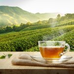 Teh dikenal sebagai minuman yang menyehatkan dan tentu saja bisa dikonsumsi oleh remaja dan dewasa. Namun tidak jarang ada juga yang memberikan teh pada bayi. Sebenarnya aman atau tidak, sih? Simak penjelasannya bersama BP-Guide yuk!