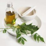 Neem oil is an extract of the neem tree. Neem oil is the key ingredient to cure your every skin problem. No wonder, manufacturers make use of the benefits of Neem oil in the production of skincare products.  Below, find out about the uses and potential benefits of neem oil, as well as the best recommendations for neem oil. We also provide tips for using neem oil on the skin.